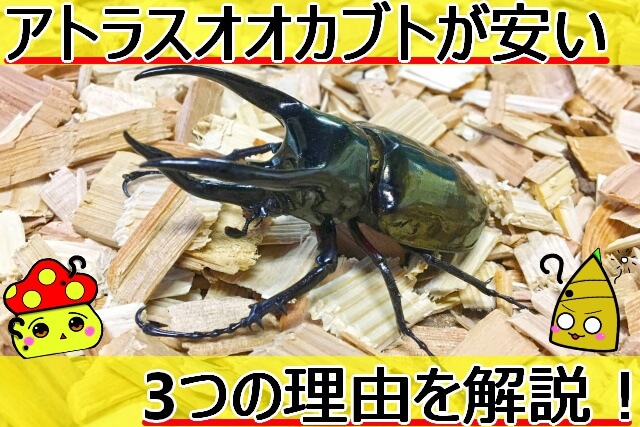 Thumbnail of post image 110